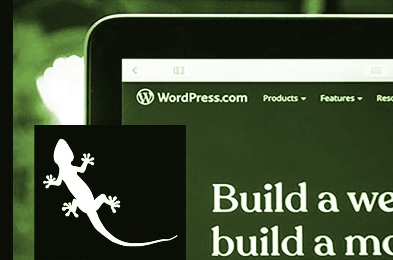 The Benefits Of A Web Re-Design for outdated Themes ForYour WordPress Site